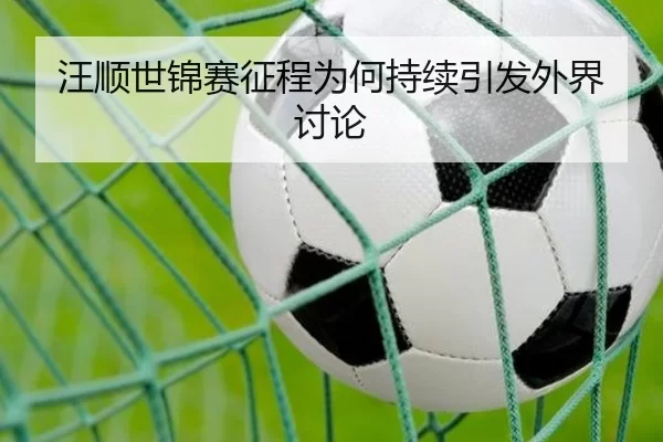wang-shun-shi-jin-sai-zheng-cheng-wei-he-chi-xu-yin-fa-wai-jie-tao-lun-2-564.jpg